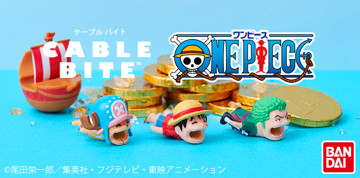 ワンピース ケーブルバイト