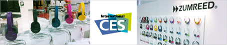 CES