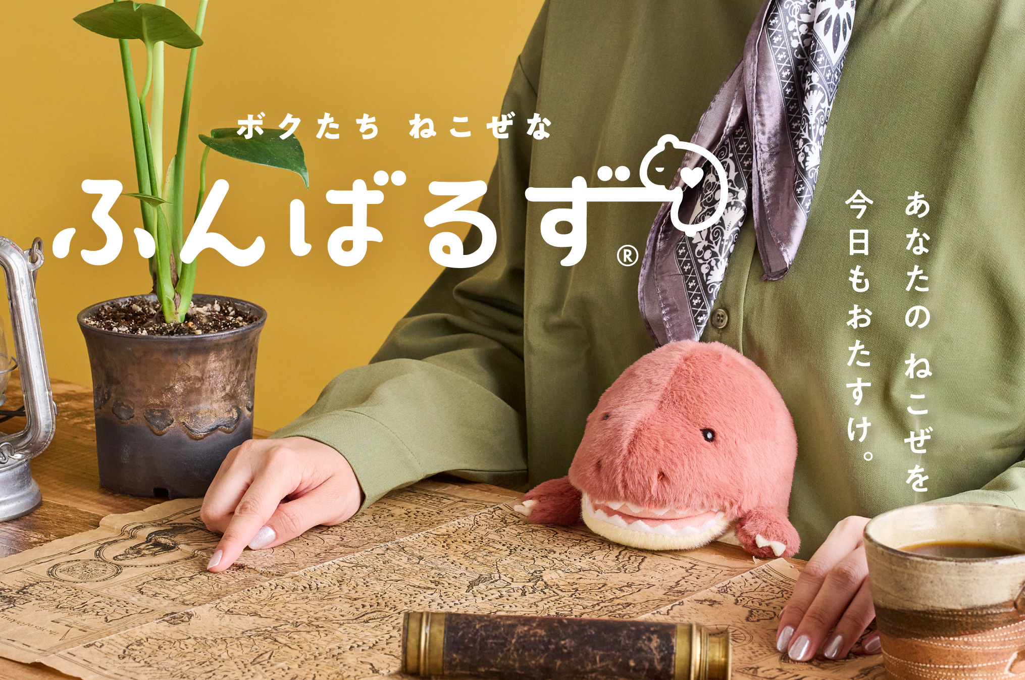 ふんばるず (Regular) トリケラトプス | ドリームズ公式