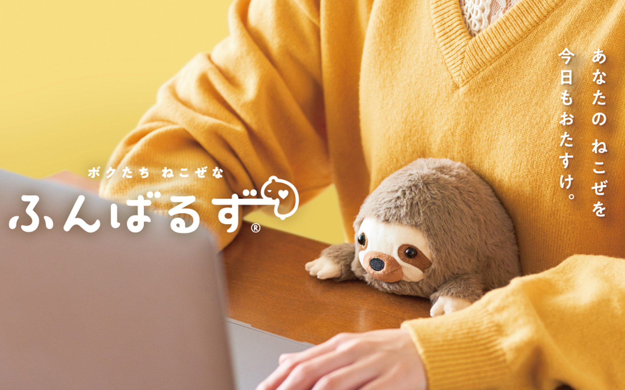 ふんばるず レギュラー